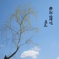 左凡 - 那就这样吧