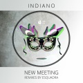 Indiano - New Meeting (Original Mix)