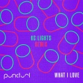 What I Love (KC Lights Remix)