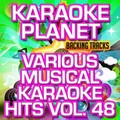 Various Musical Karaoke Hits, Vol. 48 (Karaoke Version)