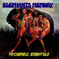 Psychedelic Essentials