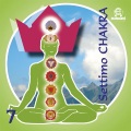 Settimo Chakra, vol. 7 (Ecosound musica relax meditazione)