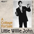 little willie john - I'm Shakin'