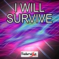 Various Artists - I Will Survive