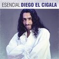 diego 