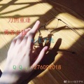 DJ王子光 - 刀剑重逢