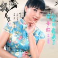 李红 - 你的世界我来了