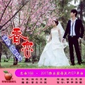 恋曲168 - 香恋