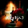 张诗哲 - 风雨蹉跎