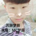 MC梦辰 - 生死都做你英雄