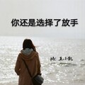 MC王小凯 - 你还是选择了放手
