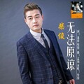 柴俊 - 无法原谅