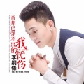 李纲锋 - 肖邦已弹不出我的忧伤