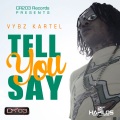 Vybz Kartel - Tell You Say (Explicit)