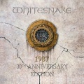 Whitesnake - Still of the Night (Live)