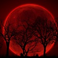 Rezz - Red