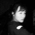 红豆 - 树叶