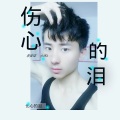 李安成 - 伤心的泪
