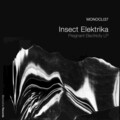 Insect Elektrika - Tezkej BAGDAD