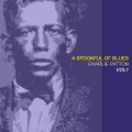 Charley Patton、charlie patton - Down the Dirt Road Blues