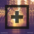 Sound Remedy - Don't Listen