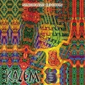 Flooting Grooves - Safari Groove