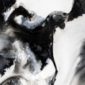Novo Amor、Ed Tullett - Cavalry