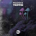 Trippin (Original Mix)