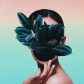 Toyko - Like What I Like
