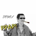 Toyos - PAPP