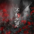 Bingo狗蛋滨、烬 - 盛唐夜唱