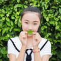 刘恋 - 小背篓