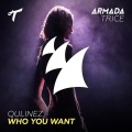 Qulinez - Who You Want