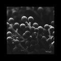 vassh - touch u...
