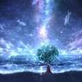 千坂 - Light & Your Story