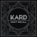 K.A.R.D PROJECT VOL 2.