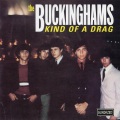 the buckinghams - You Make Me Feel so Good