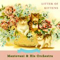 Mantovani & His Orchestra - Stranger In Paradise From 
