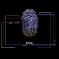 亦乐Elim、上官芷若 - 如一