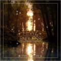 FEWZ - Endless