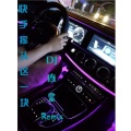 罗维富 - 喜剧之王 我养你