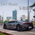 EA7 Music.车载超重低音