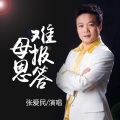 张爱民 - 母恩难报答