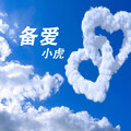 小虎 - 备爱