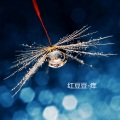 红豆豆 - 痒