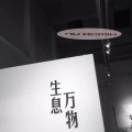 7嫂 - 天生比你猛