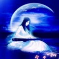 淡香 - 月夜思