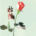MC战天词 - 枯花