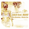 The Meaning - Missin You