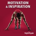 Various Artists - A New Beginning
